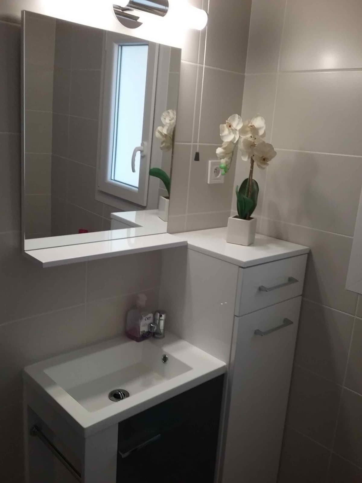 Salle de bain pavillon Bossuet Saint-Cyprien